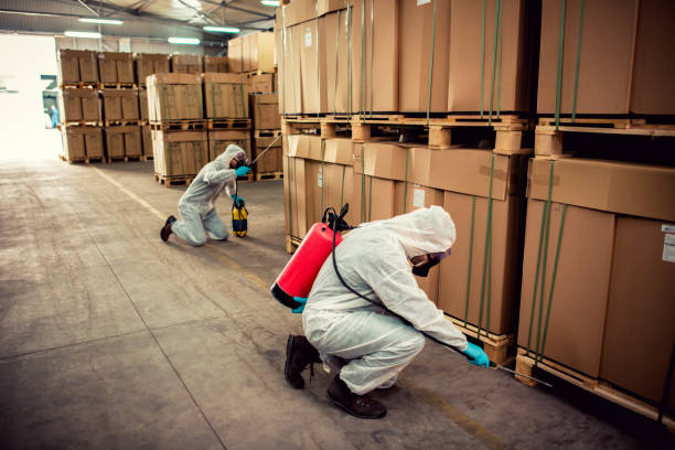 Best Pest Removal Services  in Dallas, OR