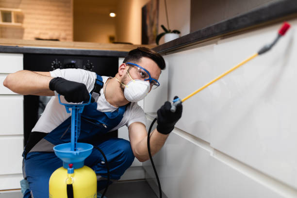 Best Pest Prevention Services  in Dallas, OR