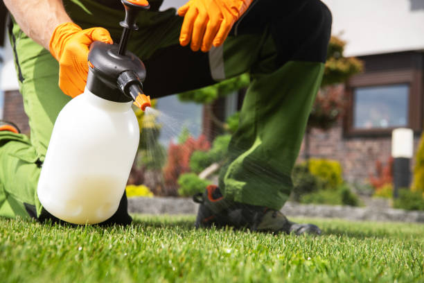 Best Rat Extermination Near Me  in Dallas, OR