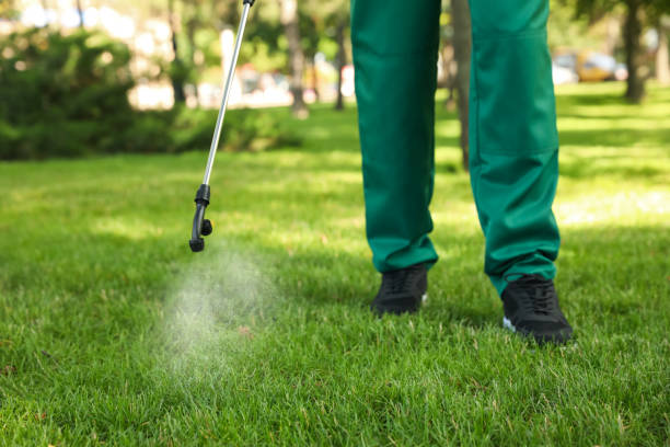 Best Best Pest Control Near Me  in Dallas, OR
