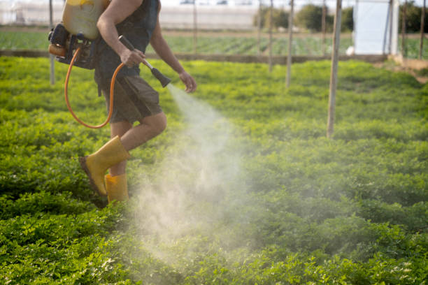 Best Affordable Pest Control Services  in Dallas, OR