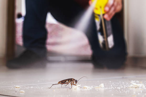 Best Pest Control Near Me  in Dallas, OR