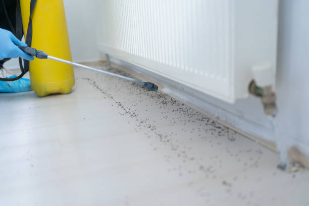 Best Pest Control for Businesses  in Dallas, OR