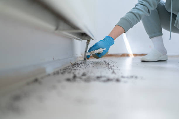 Best Wasp Removal Services  in Dallas, OR