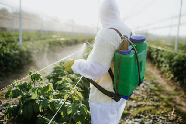 Best Pest Control Near Me in Dallas, OR